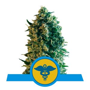 Royal Medic | CBD - RQS